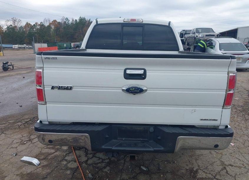 Photo 20 of 2013 Ford F-150 XLT (VIN 1FTFW1CF1DKG18694)