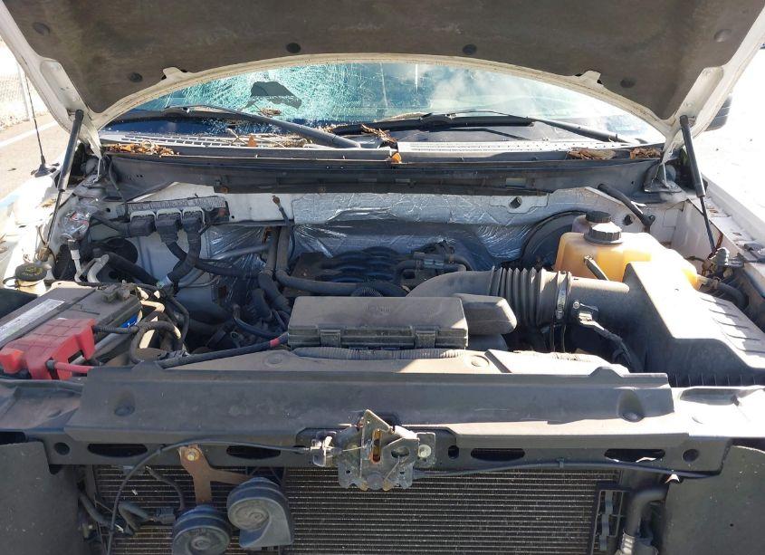 Photo 10 of 2011 Ford F-150 XL (VIN 1FTFW1CF2BFA23228)