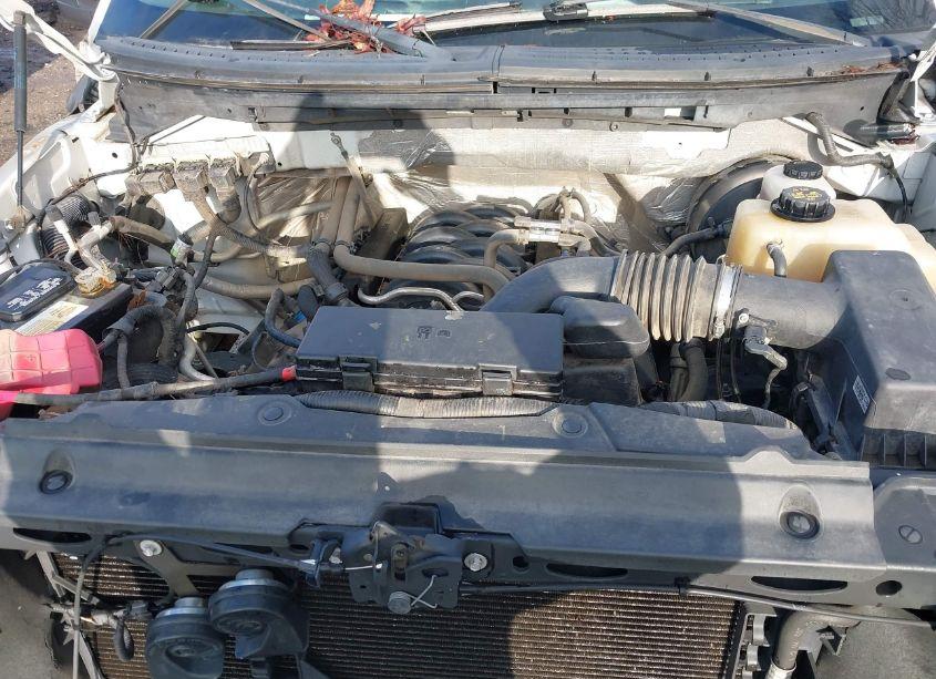 Photo 10 of 2012 Ford F-150 XL (VIN 1FTFW1CF2CKE38199)