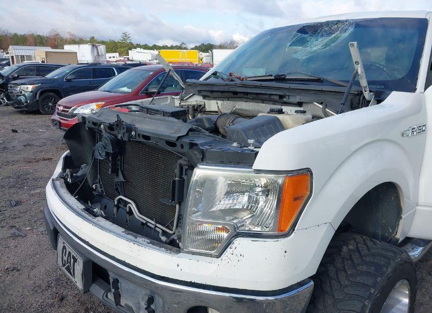 Photo 6 of 2012 Ford F-150 XL (VIN 1FTFW1CF2CKE38199)