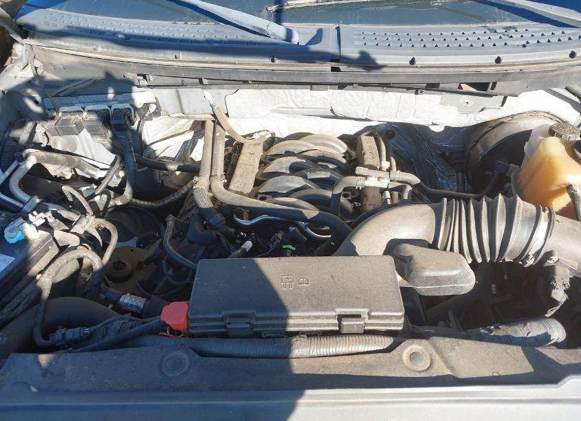 Photo 10 of 2013 Ford F-150 XLT (VIN 1FTFW1CF2DFB64125)