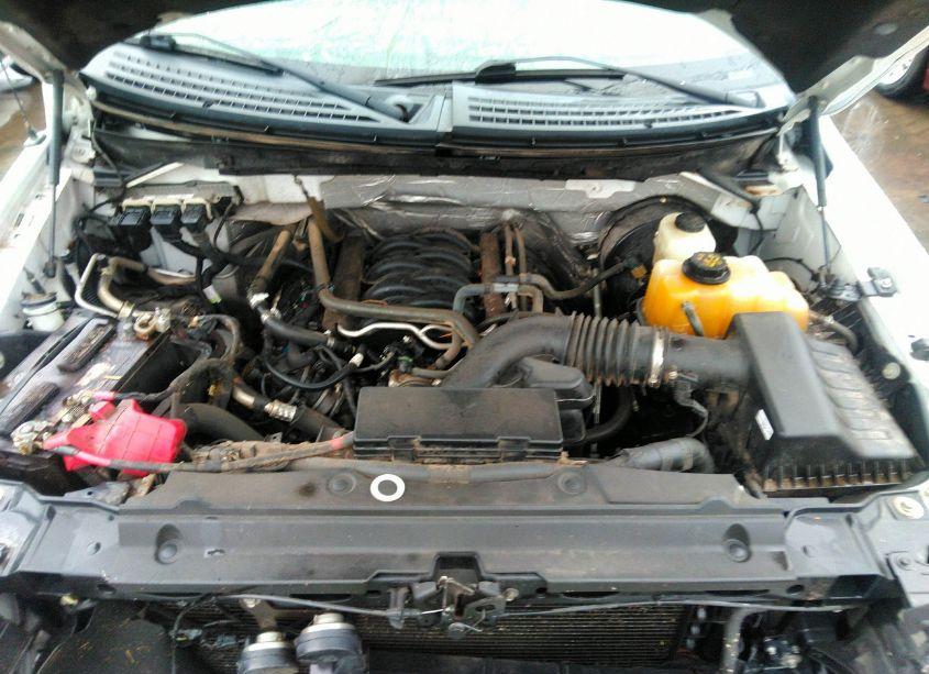 Photo 10 of 2013 Ford F-150 XLT (VIN 1FTFW1CF2DFE03740)