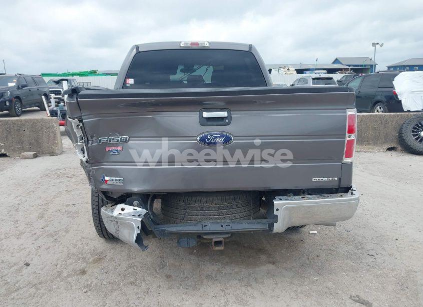 Photo 16 of 2014 Ford F-150 XLT (VIN 1FTFW1CF3EKD04871)