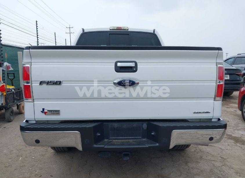 Photo 16 of 2014 Ford F-150 XLT (VIN 1FTFW1CF3EKE18935)