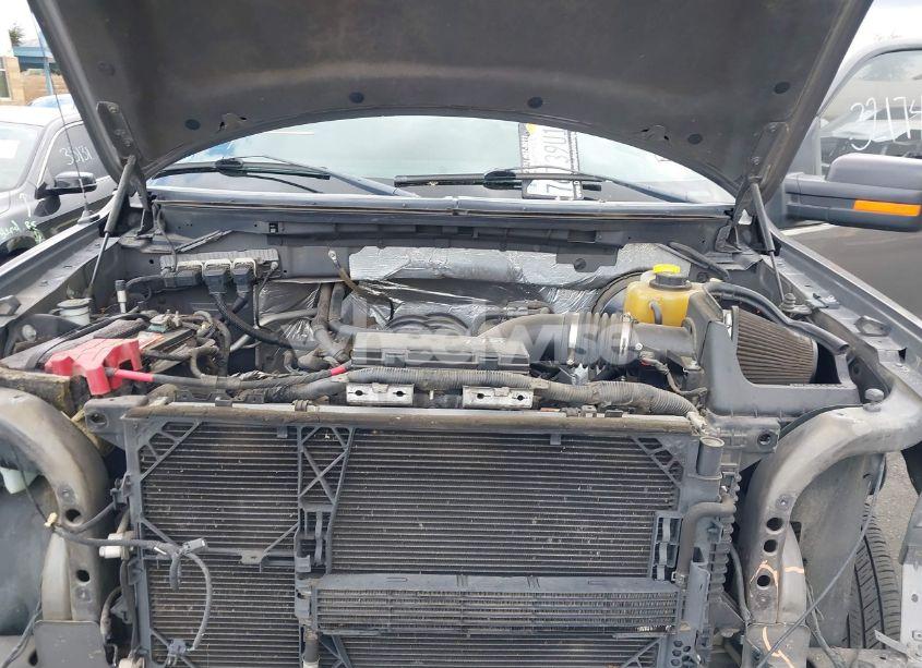 Photo 10 of 2014 Ford F-150 XLT (VIN 1FTFW1CF3EKE39820)