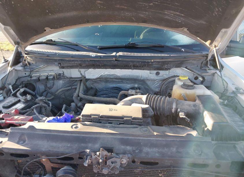 Photo 10 of 2014 Ford F-150 STX (VIN 1FTFW1CF3EKE52969)