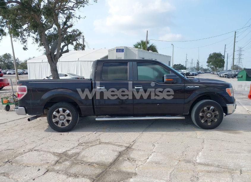 Photo 13 of 2013 Ford F-150 XLT (VIN 1FTFW1CF4DFD77125)