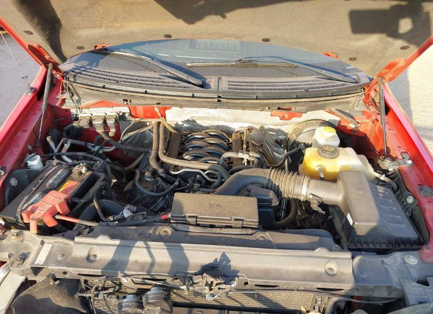 Photo 10 of 2014 Ford F-150 XLT (VIN 1FTFW1CF4EKF90987)