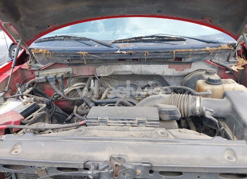 Photo 10 of 2011 Ford F-150 FX2 (VIN 1FTFW1CF5BKD02485)