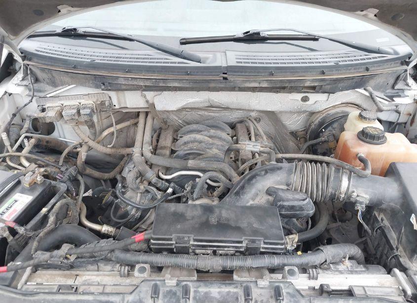 Photo 10 of 2012 Ford F-150 XLT (VIN 1FTFW1CF5CKD85336)