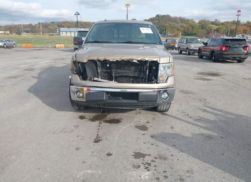 Photo 12 of 2013 Ford F-150 XLT (VIN 1FTFW1CF5DKD22335)