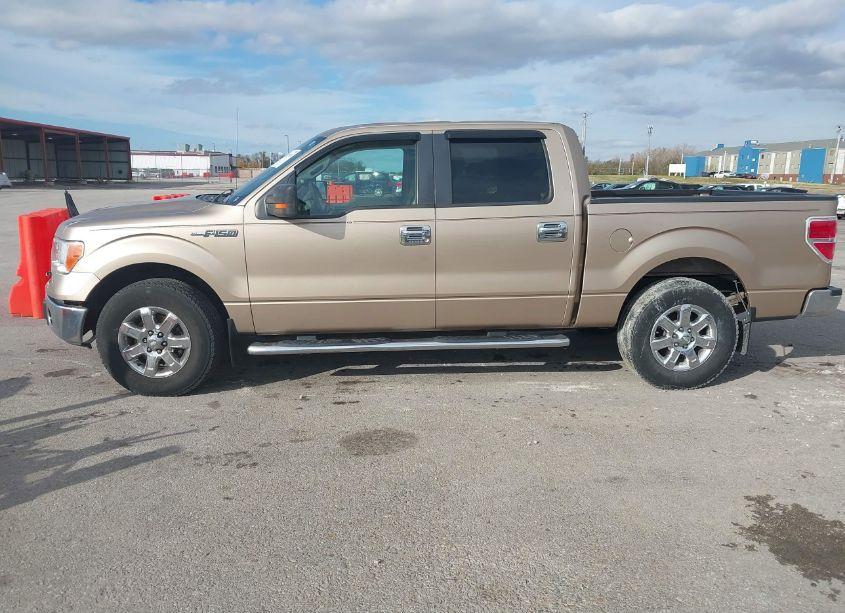 Photo 14 of 2013 Ford F-150 XLT (VIN 1FTFW1CF5DKD22335)
