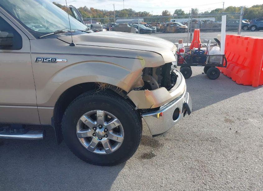 Photo 18 of 2013 Ford F-150 XLT (VIN 1FTFW1CF5DKD22335)