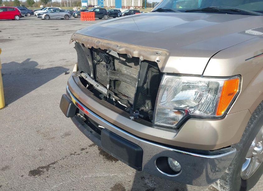 Photo 19 of 2013 Ford F-150 XLT (VIN 1FTFW1CF5DKD22335)