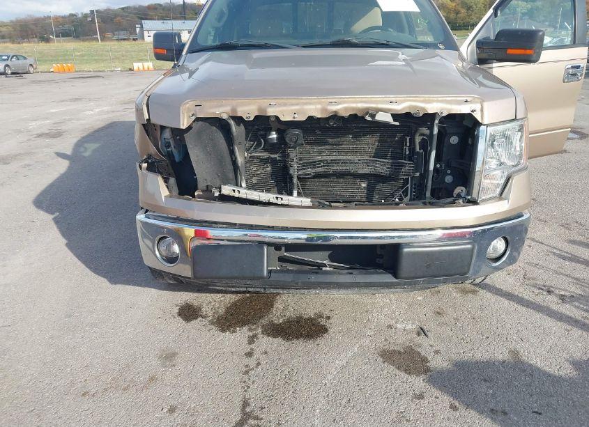 Photo 6 of 2013 Ford F-150 XLT (VIN 1FTFW1CF5DKD22335)