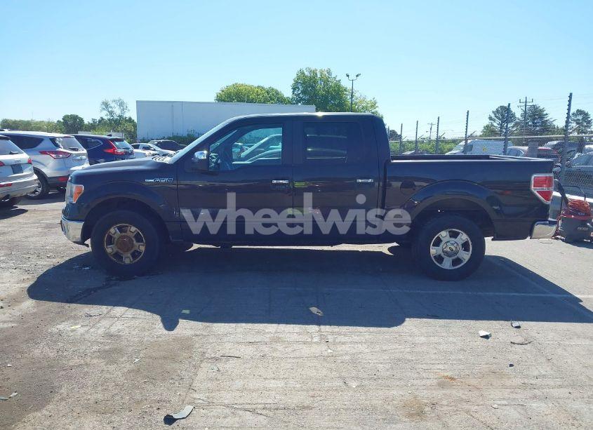 Photo 14 of 2014 Ford F-150 XLT (VIN 1FTFW1CF5EKD93147)