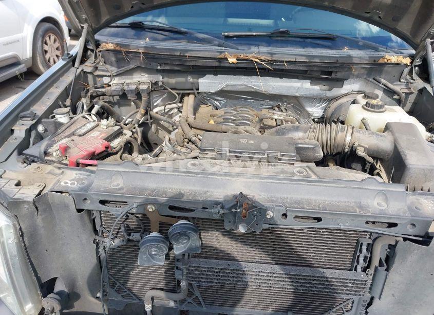 Photo 10 of 2011 Ford F-150 XLT (VIN 1FTFW1CF6BFA39822)