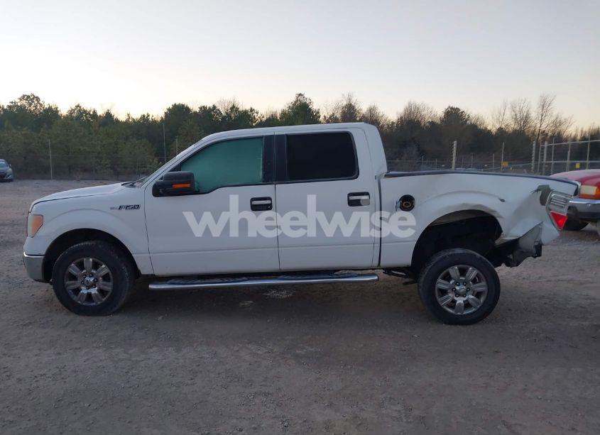 Photo 14 of 2011 Ford F-150 XLT (VIN 1FTFW1CF6BKD80984)
