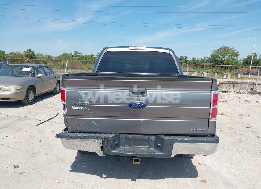 Photo 16 of 2013 Ford F-150 XLT (VIN 1FTFW1CF6DFA62505)