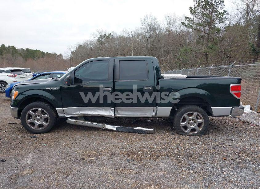 Photo 14 of 2013 Ford F-150 XLT (VIN 1FTFW1CF6DFB06387)