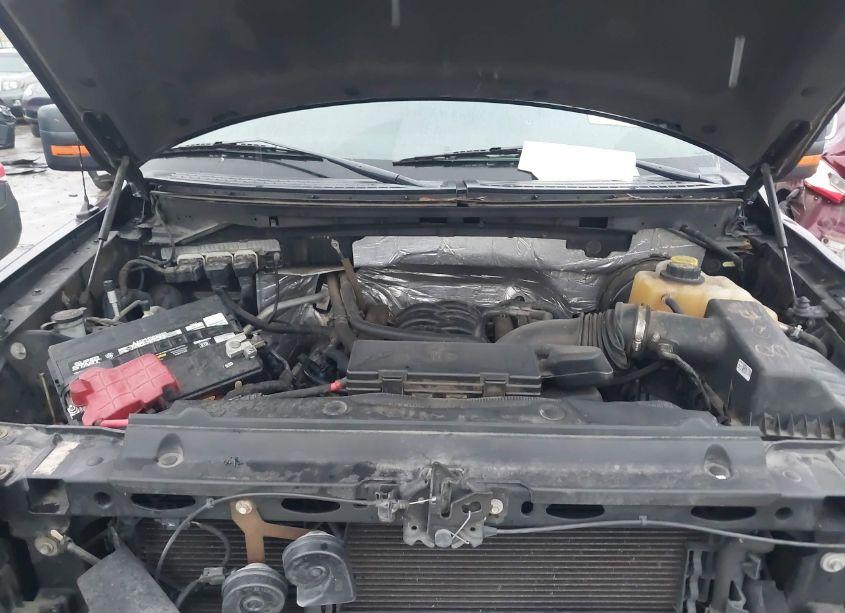 Photo 10 of 2014 Ford F-150 XLT (VIN 1FTFW1CF6EKE52691)