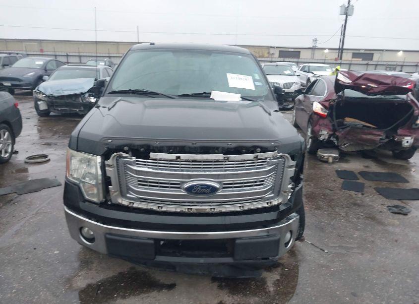 Photo 12 of 2014 Ford F-150 XLT (VIN 1FTFW1CF6EKE52691)