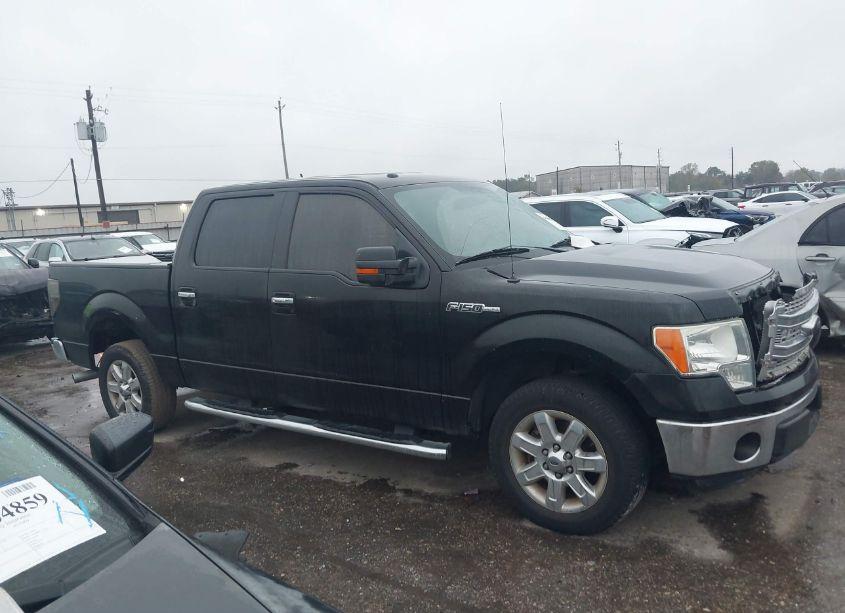 Photo 13 of 2014 Ford F-150 XLT (VIN 1FTFW1CF6EKE52691)