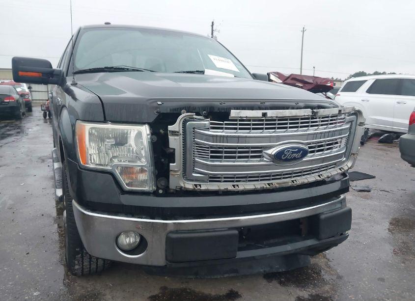 Photo 6 of 2014 Ford F-150 XLT (VIN 1FTFW1CF6EKE52691)