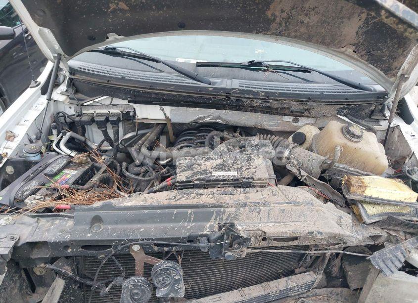 Photo 10 of 2013 Ford F-150 XL (VIN 1FTFW1CF7DFD53126)