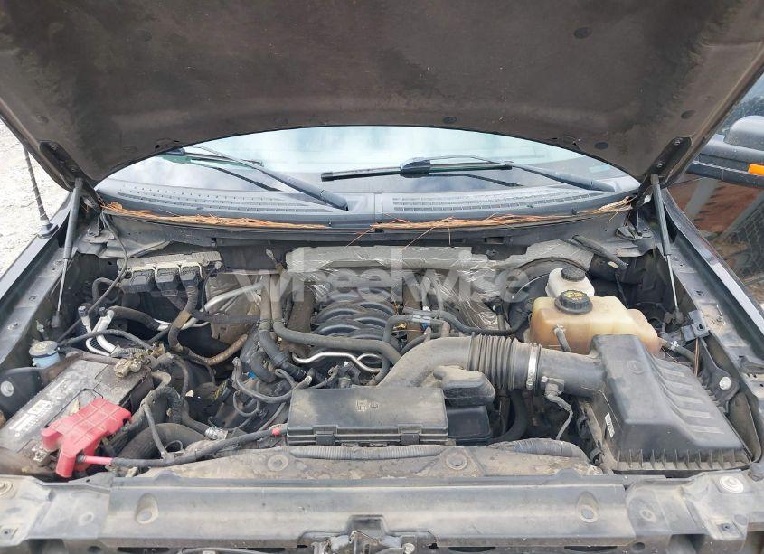 Photo 10 of 2013 Ford F-150 XLT (VIN 1FTFW1CF8DFB14992)