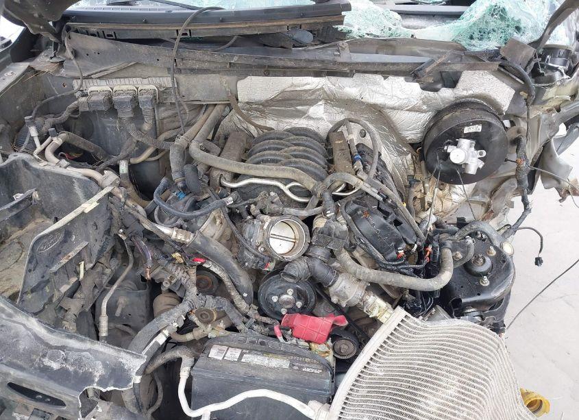 Photo 10 of 2013 Ford F-150 XLT (VIN 1FTFW1CF8DKD88765)