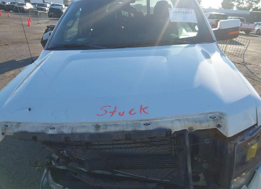 Photo 10 of 2013 Ford F-150 FX2 (VIN 1FTFW1CF8DKE71161)