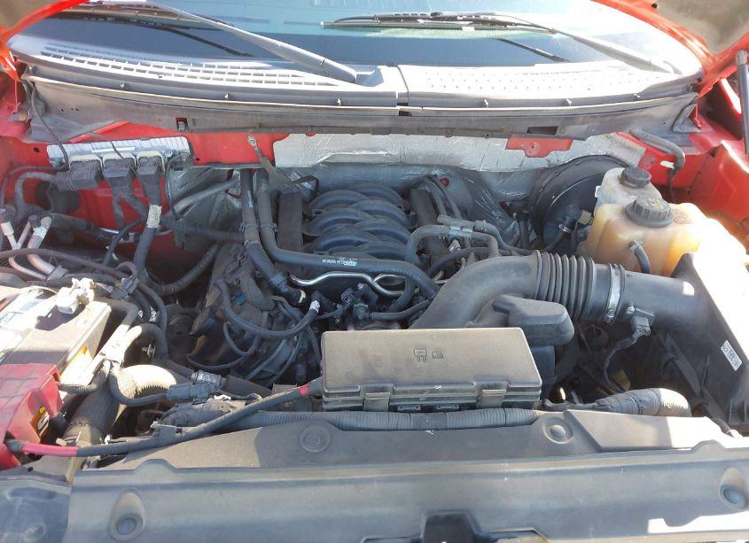 Photo 10 of 2013 Ford F-150 XLT (VIN 1FTFW1CF9DFB41814)