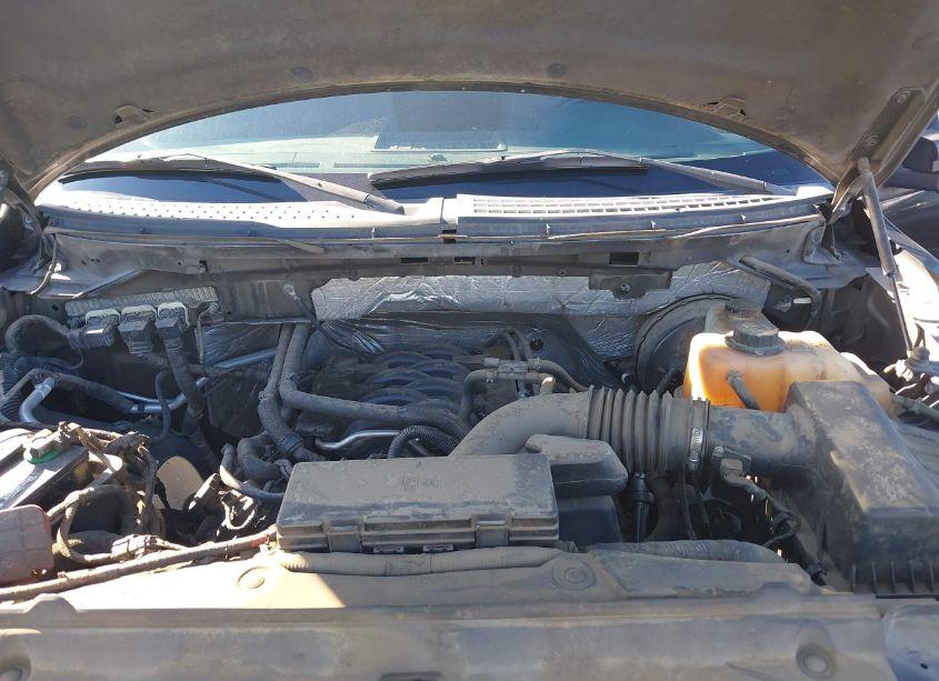 Photo 10 of 2011 Ford F-150 XLT (VIN 1FTFW1CFXBFA07486)