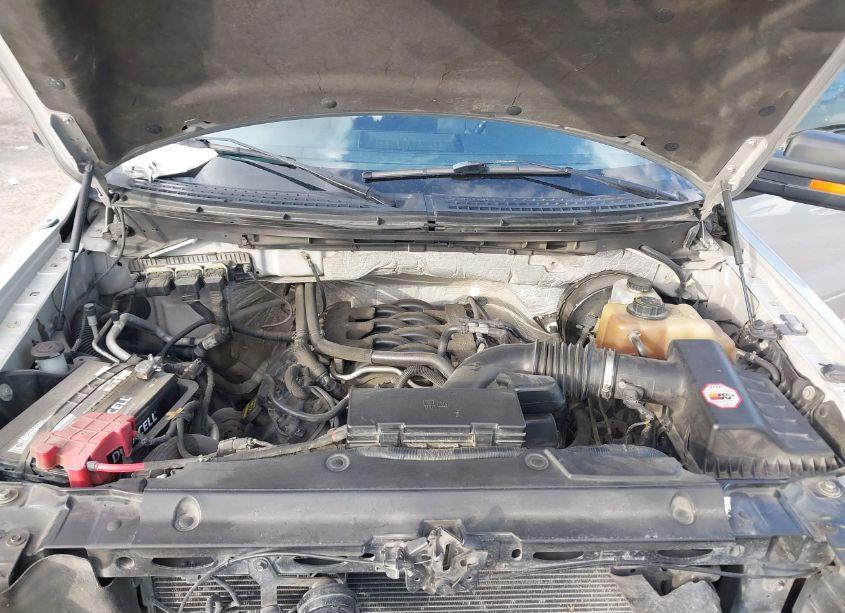 Photo 10 of 2011 Ford F-150 XLT (VIN 1FTFW1CFXBFA40214)