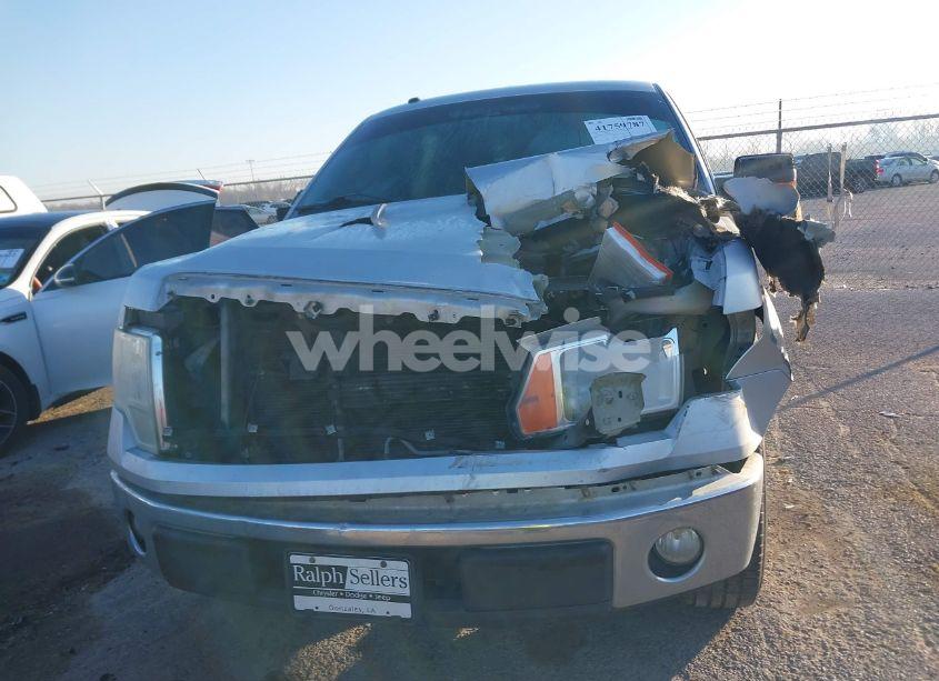 Photo 12 of 2014 Ford F-150 XLT (VIN 1FTFW1CFXEKF15954)