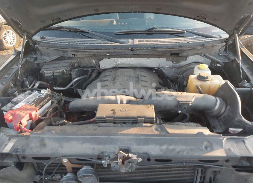 Photo 10 of 2014 Ford F-150 XLT (VIN 1FTFW1CT1EKF38819)