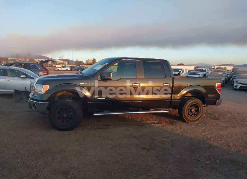 Photo 15 of 2014 Ford F-150 XLT (VIN 1FTFW1CT1EKF38819)