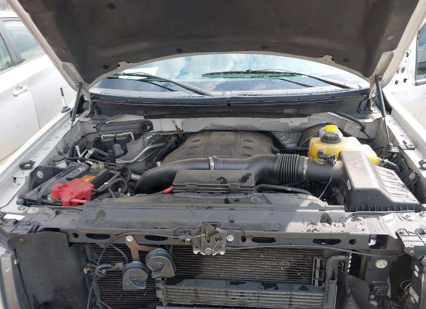 Photo 10 of 2013 Ford F-150 XLT (VIN 1FTFW1CT2DFD91353)