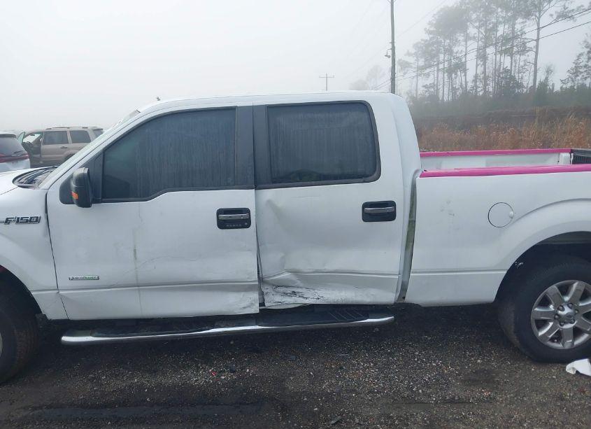 Photo 14 of 2014 Ford F-150 XLT (VIN 1FTFW1CT2EFB95320)