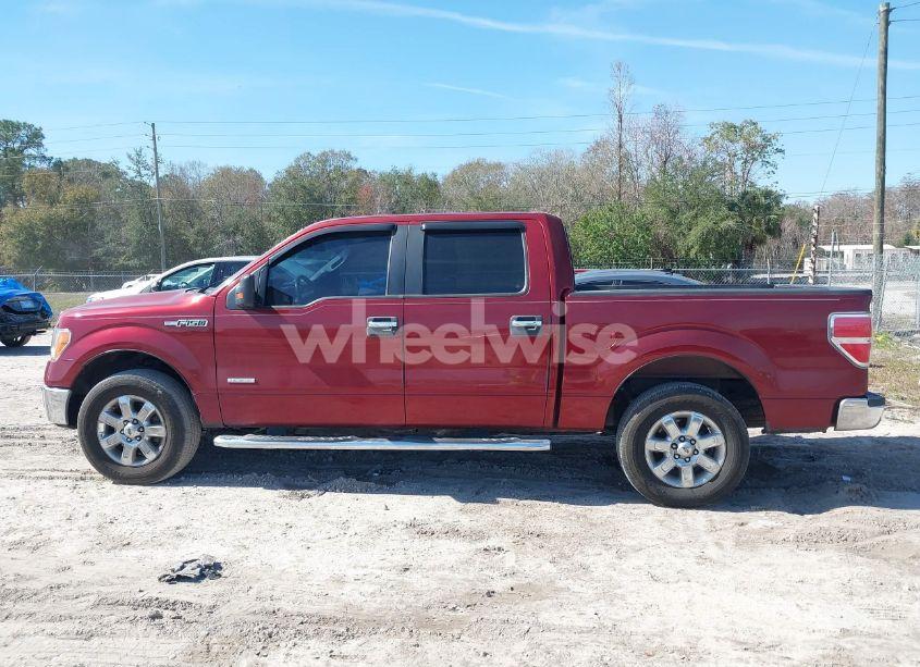 Photo 14 of 2014 Ford F-150 XLT (VIN 1FTFW1CT6EKD43220)