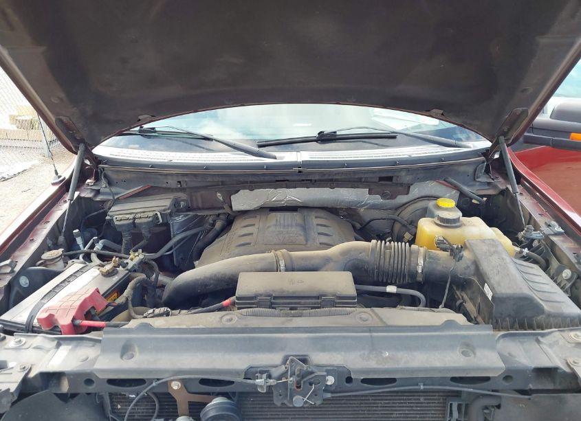 Photo 10 of 2014 Ford F-150 XLT (VIN 1FTFW1CT6EKE37601)