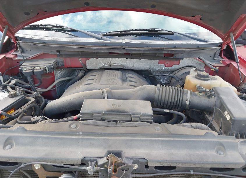 Photo 10 of 2013 Ford F-150 XLT (VIN 1FTFW1CT7DKE81976)