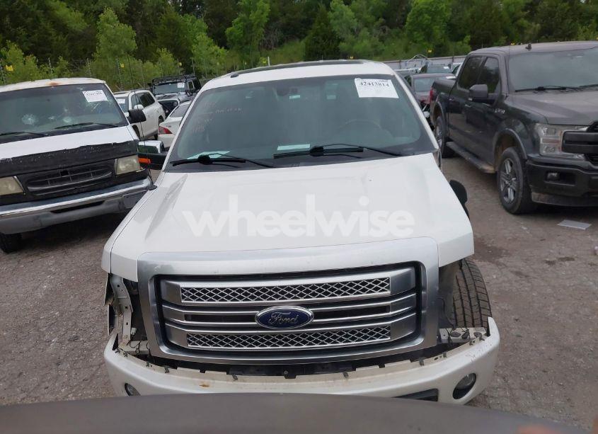 Photo 13 of 2014 Ford F-150 PLATINUM (VIN 1FTFW1CT8EFA28881)