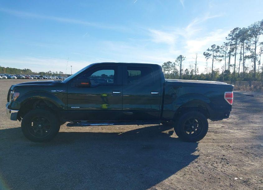 Photo 14 of 2014 Ford F-150 XLT (VIN 1FTFW1CT8EKG18165)