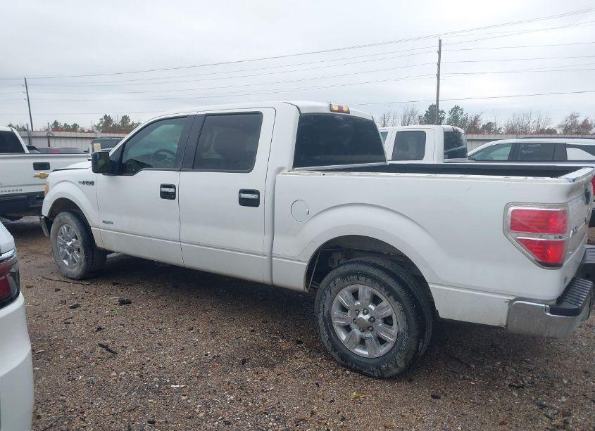 Photo 14 of 2012 Ford F-150 XLT (VIN 1FTFW1CTXCKD19502)