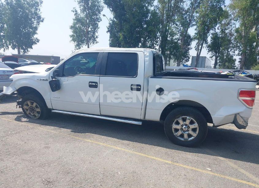 Photo 15 of 2014 Ford F-150 XLT (VIN 1FTFW1CTXEFC00103)