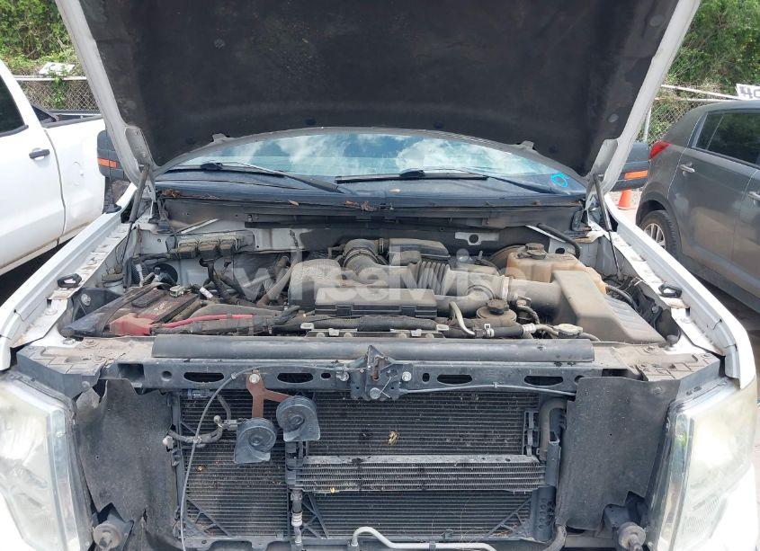 Photo 10 of 2010 Ford F-150 FX2 SPORT/HARLEY-DAVIDSON/KING RANCH/LARIAT/PLATINUM/XL/XLT (VIN 1FTFW1CV0AFB78124)