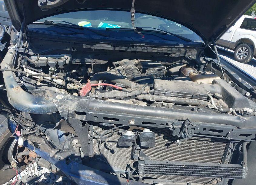 Photo 10 of 2010 Ford F-150 FX2 SPORT/HARLEY-DAVIDSON/KING RANCH/LARIAT/PLATINUM/XL/XLT (VIN 1FTFW1CV0AFC20937)