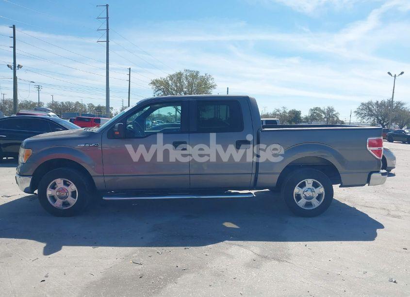 Photo 14 of 2010 Ford F-150 FX2 SPORT/HARLEY-DAVIDSON/KING RANCH/LARIAT/PLATINUM/XL/XLT (VIN 1FTFW1CV0AFD74032)